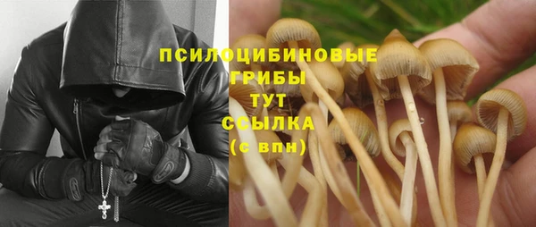 прущая мука Сатка